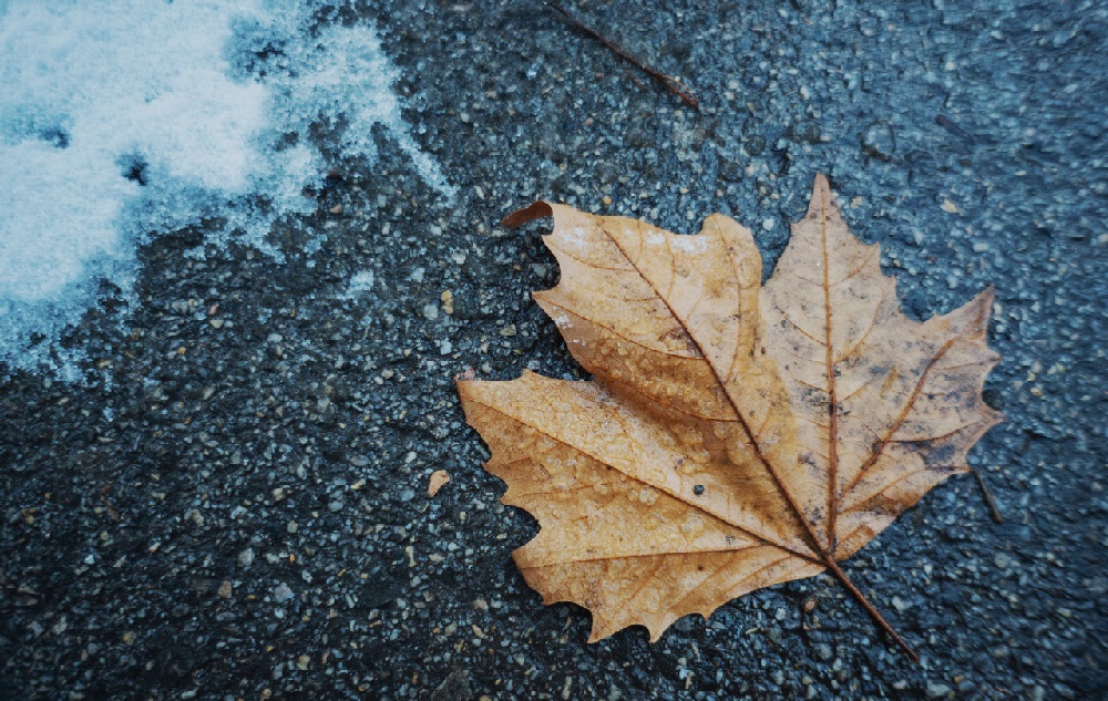 Дождь и шквалистый ветер ожидаются в ЗКО 23 ноября
